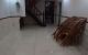 thum-m_4c3maflwS8_1672362999.jpg