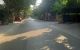 thum-9022642_T1EyWrAjHb_1672465263.jpg