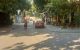 thum-m_XbQOACs8xH_1672465260.jpg