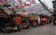 thum-m_MJDfAn1WrE_1672734651.jpg