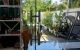 thum-m_GicBRuESJg_1672931000.jpeg