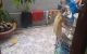 thum-m_5Lu2y6AJ1Z_1673505584.jpg
