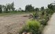 thum-m_DoP9qrQpdi_1673671130.jpg