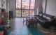 thum-9025099_AVvdjq2OWY_1674318257.jpg