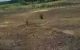 thum-m_3nPzw7Sjfs_1674720598.jpeg