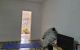 thum-9025389_tQPhxM7Roq_1674982070.jpg