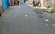 thum-9025464_xDcswqOdz3_1675050730.jpg