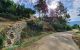 thum-m_qdR3HpQbrV_1675136366.jpg