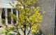 thum-9026071_5MyRNHJb8s_1675389014.jpg