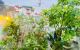 thum-9026410_AtJMk9s23S_1675504580.jpg