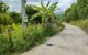 thum-9026460_1UNhgAEk90_1675554533.jpg