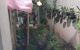 thum-9026551_kNCs4SlO5L_1675613853.jpg