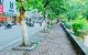 thum-m_bwpfPidM74_1675588181.jpg