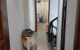 thum-9026766_zShI3Fu4Qb_1675695462.jpg