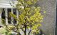 thum-9026836_vCVwysQblq_1675738257.jpg