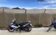 thum-9026893_tOCbfa62Yo_1675746167.jpg