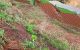 thum-m_4MFPB7D1LJ_1675751769.jpg