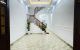 thum-m_ubmcFgLQB9_1675787672.jpg
