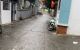 thum-9027036_efBW6YOvQ9_1675789584.jpg