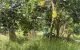thum-9027387_TrZ1yEoIsQ_1675912376.jpg