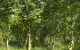 thum-9027387_dS9EHkcFvs_1675912359.jpg
