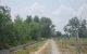 thum-9027656_71ZH9eoksq_1676013328.jpg