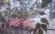 thum-9027766_89Gn0jvk4Y_1676047191.jpg