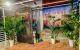 thum-9027772_AFp5PVfMn4_1676051739.jpeg