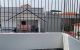 thum-9027993_46dLayEN8M_1676170238.jpg