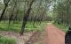 thum-m_4YtCNgZ9hG_1676186087.jpg