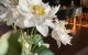 thum-9028194_bTU1FLcNyW_1676271127.png