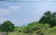 thum-9028236_FBpYhlodwk_1676275706.jpg