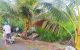 thum-9028256_U6T8VRAN0J_1676277802.jpg