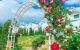 thum-m_AqFhQcobDL_1676272426.jpg