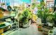 thum-9028716_IBVkTK3FLx_1676389126.jpg