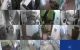 thum-9028813_FDdpchtH8b_1676434634.jpg