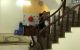 thum-9029115_qnGFhPO0BK_1676516323.jpg