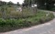 thum-9029244_mHwPoagpXr_1676533135.JPG