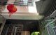 thum-m_958id1wN2s_1676557633.jpg