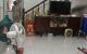 thum-m_Jumswh4Qnk_1676538283.jpg