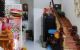 thum-m_PtcCgRVyMY_1676611372.jpg