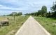 thum-9029906_TfpwGlqBnm_1676685598.jpg