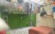 thum-9030210_viQKVob7c2_1676821897.jpg