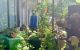 thum-9030316_xpeHCb5K2y_1676867844.jpg