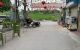 thum-9030505_nu5vL9HKi3_1676907986.jpg