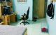 thum-9030693_WqDJFztScl_1676965320.jpg