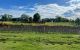 thum-9030703_4h5lWAEyV9_1676966105.jpg