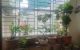 thum-9031528_bNA0qxgKJ8_1677141518.jpg