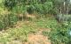 thum-9031636_GkiPUoO0gT_1677164945.jpeg