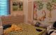 thum-9031638_uefhKxbkwo_1677165344.jpg